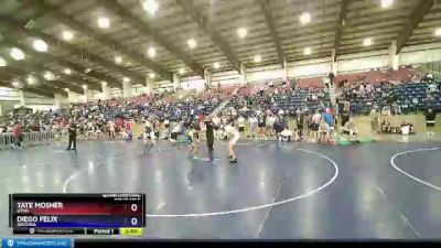 120 lbs Quarterfinal - Tate Mosher, Utah vs Diego Felix, Arizona