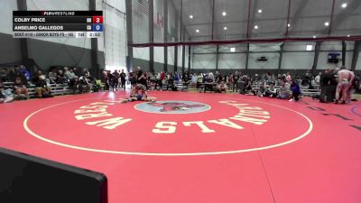 Junior Boys FS - 165 lbs Champ. Round 1 - Colby Price, OR vs Anselmo Gallegos, CA