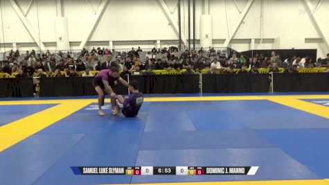 Dominic J. Manno vs Samuel Luke Slyman 2024 World IBJJF Jiu-Jitsu No-Gi Championship