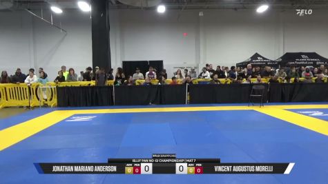 Vincent Augustus Morelli vs Jonathan Mariano Anderson 2026 Pan IBJJF Jiu-Jitsu No-Gi Championship