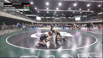 136 lbs Quarterfinal - Liam Abrao, VA Beach vs Kayden Carter, Wilmington