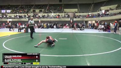 95 lbs Champ. Round 1 - Blaine Fletcher, Askren Wrestling Academy vs Callan Shelstad, Centennial