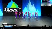 Studio 22 - Mini All Star Small Pom [2025 Mini - Pom - Small Finals] 2025 The Dance Summit