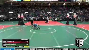 110 lbs Quarterfinal - Carter Callahan, NWD2 vs Ben Anderson, MEW3