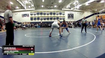 175 lbs 3rd Place Match - James Holzapfel, Archbishop Hoban vs Louie DeJulia, Reynolds High School