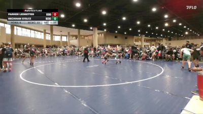 65 lbs Round 5 (6 Team) - Beckham Steltz, Williamson County WC vs Parker Ledbetter, North Desoto Wrestling Academy
