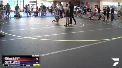 93 lbs Round 3 - Declan Blaney, NOVA Wrestling Club vs Ashton Loving, River City Wrestling LLC