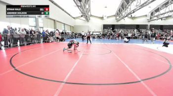 90-I lbs Consi Of 8 #2 - Ethan Hale, Collingswood vs Andrew Dolson, Barn Brothers