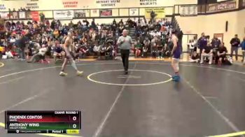 126 lbs Cons. Round 2 - Anthony Wing, Valley Forge vs Phoenix Contos, Waite