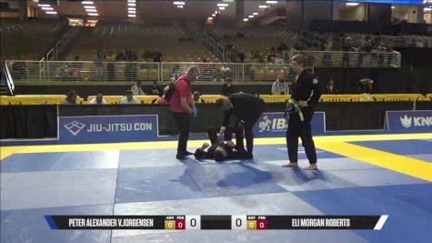 Eli Morgan Roberts vs Peter Alexander V.Jorgensen 2025 Pan Jiu Jitsu IBJJF Championship