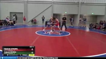 113 lbs Placement Matches (8 Team) - Teague Strobel, South Carolina vs Fabian Rivera, North Carolina