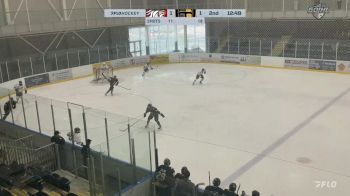 Replay: Home - 2025 Ayr vs Brantford | Mar 8 @ 2 PM