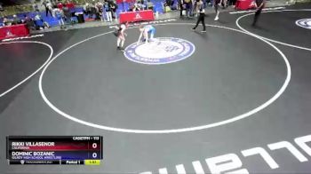 113 lbs Cons. Round 4 - Rikki Villasenor, California vs Dominic Bozanic, Gilroy High School Wrestling