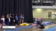 Lauren Potts - Women's Group, Flippers Gymnastics LLC - 2021 Women's Xcel Region 4 Championships