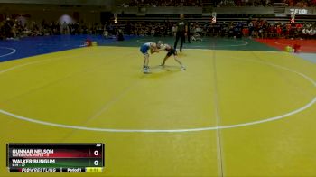 70 lbs Semis & 1st Wrestleback (8 Team) - Walker Bungum, K-M vs Gunnar Nelson, Watertown-Mayer