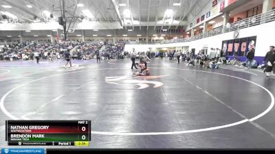 125 lbs Champ. Round 2 - Brendon Mark, Indiana Tech vs Nathan Gregory, Southeastern