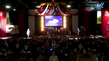 The Stingray Allstars - Marietta - Orange [2024 L6 Senior - Large Day 2] 2024 ASC Battle Under the Big Top Grand Nationals