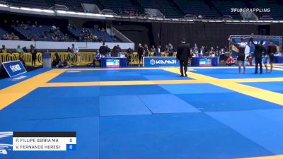 PEDRO FILLIPE SERRA MARINHO vs VICENTE FERNANDO HERESI ABARCA 2019 World IBJJF Jiu-Jitsu No-Gi Championship