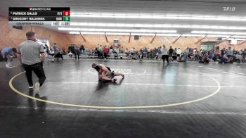 100 lbs Quarterfinal - Patrick Gallo, Pittsford vs Gregory Nalesnik, Hawley
