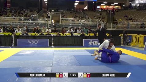 Dragan Nesic vs Alex Estremera 2025 Pan Jiu Jitsu IBJJF Championship