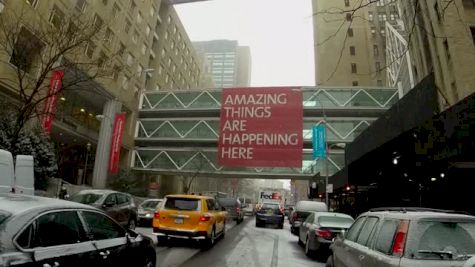 John Thomas Terrier 500m Showdown