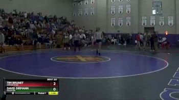 195 lbs Quarterfinal - Tim Brunet, Father Ryan vs David Dirmann, Houston