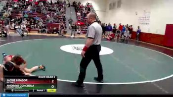 113 lbs Champ. Round 3 - Andraya Conchola, Natrona County vs Jackie Meador, Big Piney