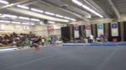 Hills, Michaela Nelson - 2014 Parkettes Invite FX, 9.65 1st