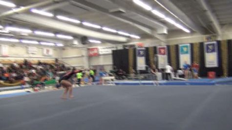 Hills, Michaela Nelson - 2014 Parkettes Invite FX, 9.65 1st