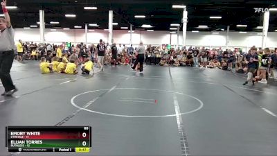 60 lbs Round 2 (6 Team) - Emory White, CTWHALE vs Elijah Torres, Ruthless