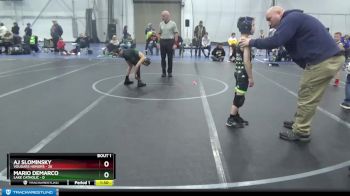 68 lbs Finals (2 Team) - AJ Slominsky, Vougars Honors vs Mario Demarco, Lake Catholic