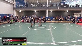 90 lbs Round 4 (6 Team) - Ayden Hudson, St. Edward vs Teige Haller, Wadsworth
