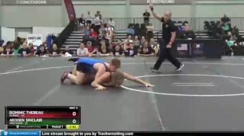182 lbs Placement Matches (16 Team) - Dominic Thebeau, Illinois vs Aeoden Sinclair, Wisconsin