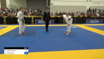 Andrea Verdemare vs Andrew Champlin 2024 World Masters IBJJF Jiu-Jitsu Championship