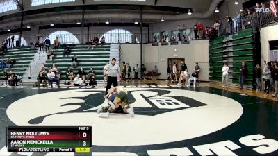 132 lbs Cons. Round 4 - Aaron Menickella, St Mark`s vs Henry Moltumyr, St. Mary`s Ryken