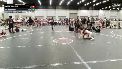 78 lbs Round 6 (10 Team) - Salice Briseno, Takedown Elite vs Julia Martin, NC Girls Wrestling Club
