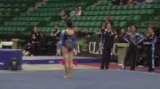 Metroplex (Lizzy LeDuc) - 9.575 2nd FX