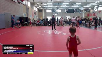 41 lbs Round 1 - Lane Schei, Bear Lake Wrestling Club vs Lilly Blaisdell, Brothers Of Steel