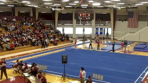 Brown (Diana Walters) - 9.675