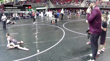 65 lbs Cons. Round 1 - Barrett Peasinger, The Best Wrestler vs Jameson Wood, CWO