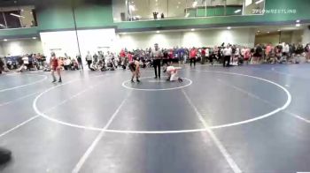 120 lbs Quarterfinal - Mihai Necula, GA vs Brayden Davis, NC