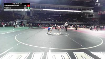 106 lbs Cons. Round 2 - Micah Roschmann, Roseville vs Tim Ahn, Will C Wood