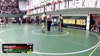 113 lbs Champ. Round 1 - Gabe Cook, Elyria Catholic vs Gavin Culloty, Clarkston (MI)