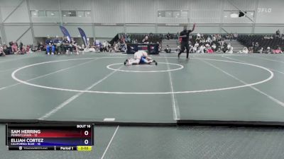 138 lbs Placement Matches (8 Team) - Sam Herring, Pennsylvania vs Elijah Cortez, California Blue