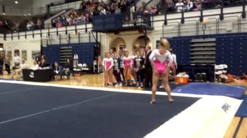 Penn State (Lexi Carroll) - exhibition