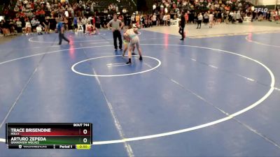132 lbs Cons. Round 4 - Arturo Zepeda, Grandview Wolves vs Trace Brisendine, Holly