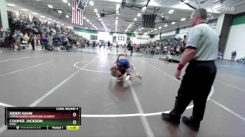 106 lbs Cons. Round 4 - Cooper Jackson, D3WC vs Aiden Hahn, Thoroughbred Wrestling Academy