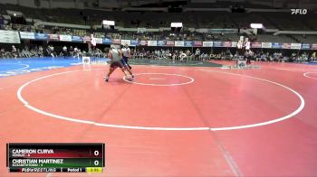 149 lbs Quarters & Wb (16 Team) - Christian Martinez, Elizabethtown vs Cameron Curva, Ferrum