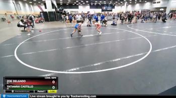 97 lbs Cons. Semi - Tatianna Castillo, MI vs Zoe Delgado, FL