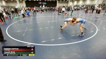 100 lbs Quarterfinal - Hudson Chittum, Tennessee vs Thales Silva, Red Wave Wrestling